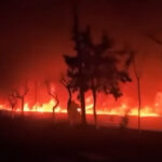 ШУМСКИ ПОЖАРИ У ФРАНЦУСКОЈ