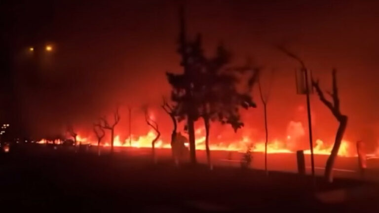 ШУМСКИ ПОЖАРИ У ФРАНЦУСКОЈ